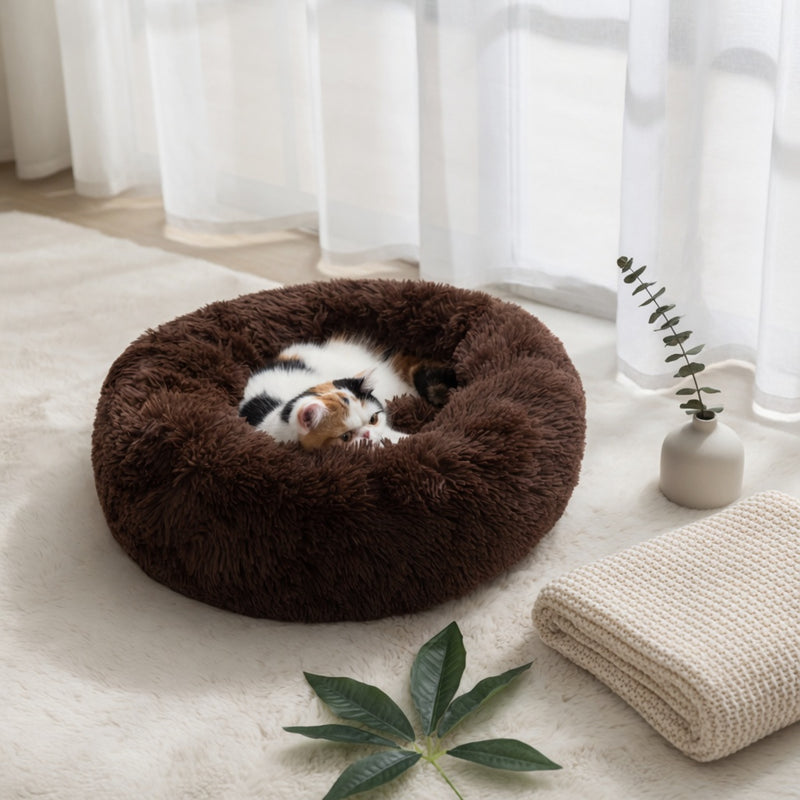 Transforms your space